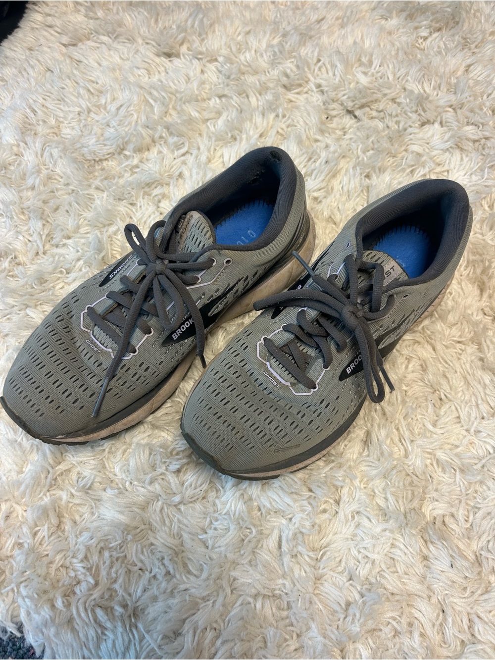 Brooks Ghost 13